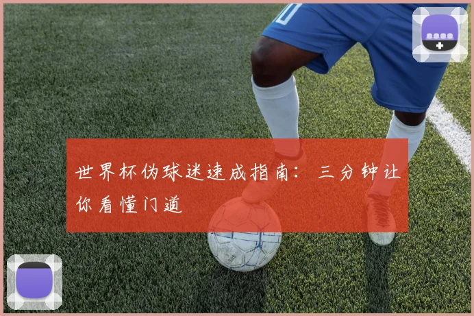 世界杯伪球迷速成指南:三分钟让你看懂门道