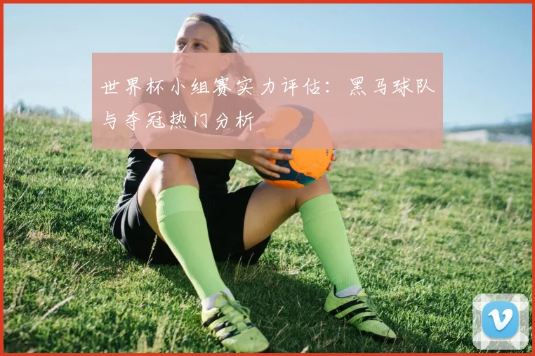 世界杯小组赛实力评估：黑马球队与夺冠热门分析
