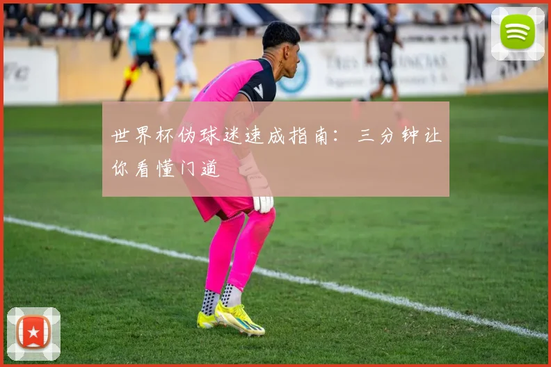 世界杯伪球迷速成指南:三分钟让你看懂门道