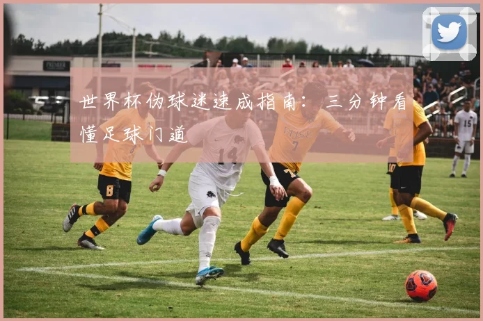 世界杯伪球迷速成指南：三分钟看懂足球门道
