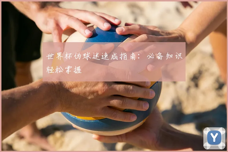 世界杯伪球迷速成指南：必备知识轻松掌握